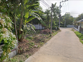  Grundstück zu verkaufen in San Sai, Chiang Mai, San Sai Luang