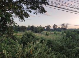  Grundstück zu verkaufen in Pa Tio, Yasothon, Krachai