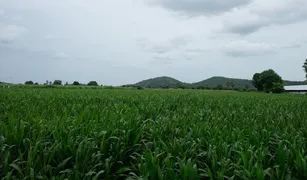 N/A Grundstück zu verkaufen in Nong Pling, Kanchanaburi 