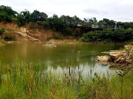  Grundstück zu verkaufen in Pran Buri, Prachuap Khiri Khan, Wang Phong