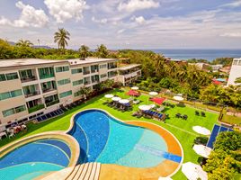 1 Schlafzimmer Appartement zu verkaufen im Karon Butterfly, Karon, Phuket Town