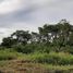  Grundstück zu verkaufen in Parita, Herrera, Cabuya, Parita, Herrera, Panama