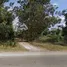  Grundstück zu verkaufen in Non Sang, Nong Bua Lam Phu, Non Sang