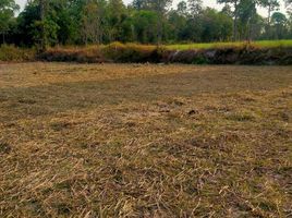  Land for sale in Kuchinarai, Kalasin, Bua Khao, Kuchinarai