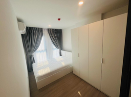 1 Schlafzimmer Wohnung zu vermieten im Aspire Ratchayothin, Lat Yao, Chatuchak