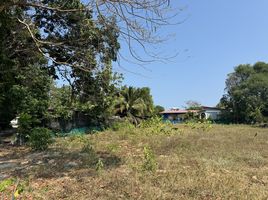  Land for sale in Rawai, Phuket Town, Rawai