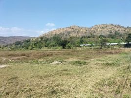  Land for sale in Ban Luang, Chom Thong, Ban Luang