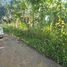  Grundstück zu verkaufen in San Felipe De Puerto Plata, Puerto Plata, San Felipe De Puerto Plata, Puerto Plata, Dominikanische Republik
