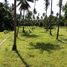  Land for sale in Na Mueang, Koh Samui, Na Mueang