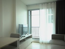 1 Bedroom Apartment for rent at Niche Mono Chaengwattana, Khlong Kluea, Pak Kret