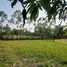  Land for sale in Mueang Ubon Ratchathani, Ubon Ratchathani, Rai Noi, Mueang Ubon Ratchathani