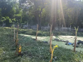  Земельный участок for sale in Mueang Samut Prakan Самутпракан, Samrong Nuea, Mueang Samut Prakan, Самутпракан