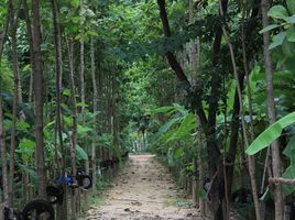  Grundstück zu verkaufen in Nong Chang, Uthai Thani, Khao Kwang Thong