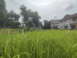 在Sapam Village出售的 土地, 绿岛, 普吉镇, 普吉