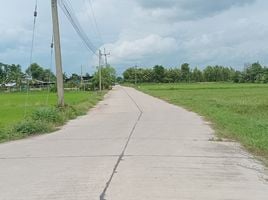  Land for sale in Nong Khayat, Phanat Nikhom, Nong Khayat