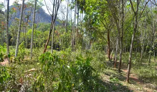 N/A Land for sale in Nong Thale, Krabi 