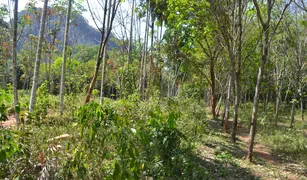 N/A Terrain a vendre à Nong Thale, Krabi 