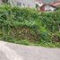  Land for sale in Tuba, Cordillera, Tuba, Benguet, Cordillera