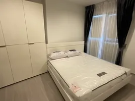 1 Schlafzimmer Wohnung zu vermieten im Life Asoke Rama 9, Makkasan