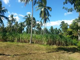  Grundstück zu verkaufen in Cavite, Calabarzon, Magallanes