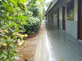 80 Bedroom Hotel for sale in Phuket, Patong, Kathu, Phuket