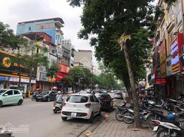 5 Schlafzimmer Haus zu verkaufen in Dong Da, Hanoi, Trung Liet