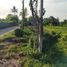  Land for sale in Kamphaeng Phet, Trai Trueng, Mueang Kamphaeng Phet, Kamphaeng Phet