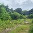  Land for sale in Kathu, Phuket, Patong, Kathu