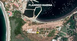 Available Units at Playa Flamingo