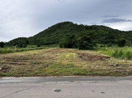 ขายที่ดิน ใน หัวหิน ประจวบคีรีขันธ์, หนองพลับ