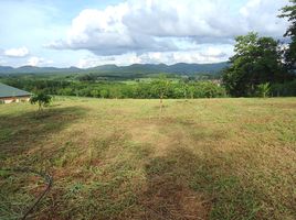  Grundstück zu verkaufen in Mueang Loei, Loei, Na Din Dam, Mueang Loei