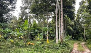 N/A Land for sale in Khao Baisi, Chanthaburi 