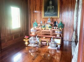 3 Bedroom House for sale in Dan Chang, Suphan Buri, Nong Makha Mong, Dan Chang