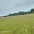  Land for sale in Telangana, Hyderabad, Hyderabad, Telangana