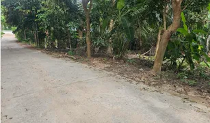 N/A Grundstück zu verkaufen in Bo Phut, Surat Thani 