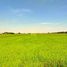  Land for sale in Sai Yai, Nonthaburi, Sai Yai, Sai Noi