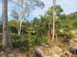  Land for sale in Surat Thani, Ko Pha-Ngan, Ko Pha-Ngan, Surat Thani