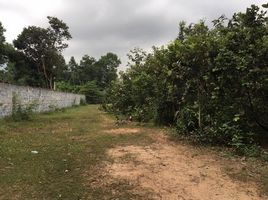  Land for sale in Thailand, Sai Mun, Phibun Mangsahan, Ubon Ratchathani, Thailand