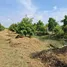  Grundstück zu verkaufen in Cai Lay, Tien Giang, Cai Lay, Cai Lay, Tien Giang, Vietnam