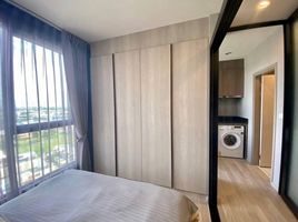 1 Schlafzimmer Appartement zu vermieten im Ideo Mobi Sukhumvit East Point, Bang Na