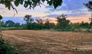 N/A Land for sale in Makhuea Chae, Lamphun 