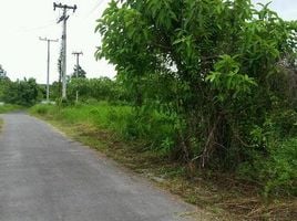  Land for sale in Huai Sai, Mae Rim, Huai Sai