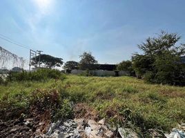  Land for sale in Thanu, Uthai, Thanu