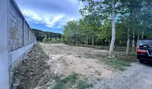 N/A Land for sale in Tha Wang Tan, Chiang Mai 