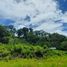  Land for sale in Choeng Thale, Thalang, Choeng Thale