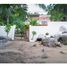 2 Bedroom House for sale in Cabo Corrientes, Jalisco, Cabo Corrientes