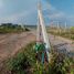  Grundstück zu verkaufen in Khlong Phai, Nakhon Ratchasima, Khlong Phai, Sikhio