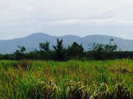  Grundstück zu verkaufen in Suan Phueng, Ratchaburi, Tha Khoei, Suan Phueng, Ratchaburi