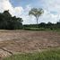  Land for sale in Amatura, Amazonas, Amatura