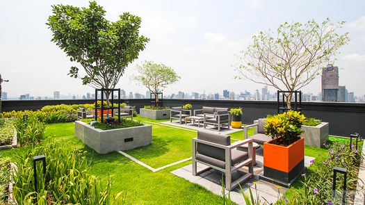 사진들 4 of the Communal Garden Area at The Base Phetchaburi-Thonglor